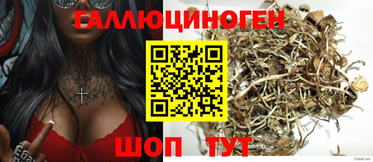 Псилоцибиновые грибы MAGIC MUSHROOMS Димитровград
